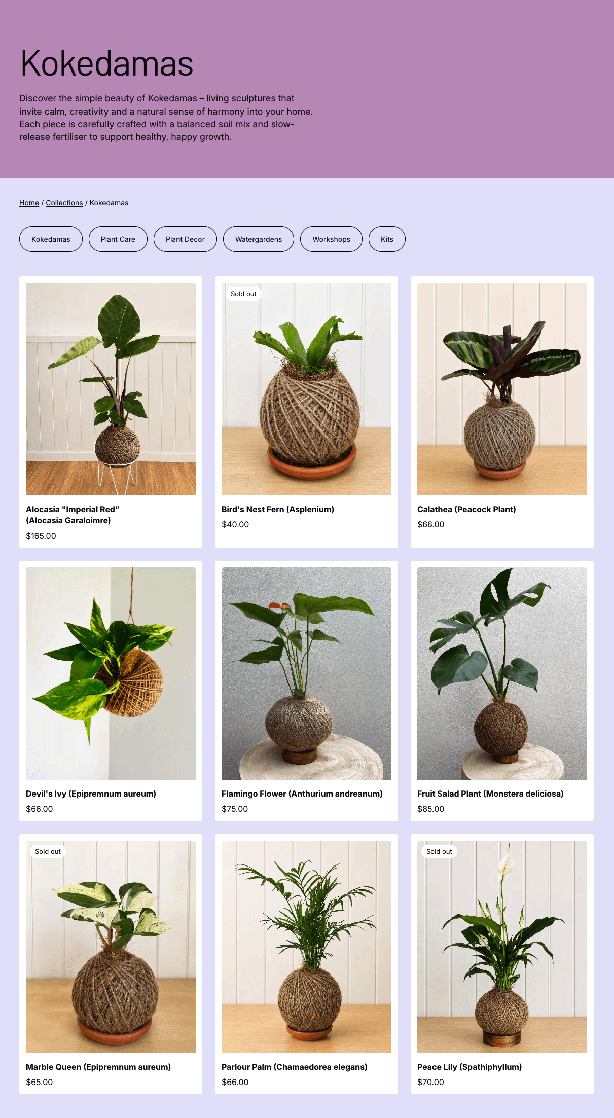 Pip and Rose Design collection page